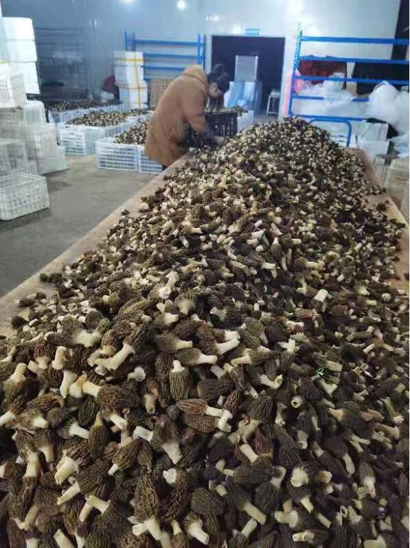 &#24320;&#20803;&#32593;&#31449;&#30331;&#24405;&#20837;&#21475;&#95;&#24320;&#20803;&#65288;&#20013;&#22269;&#65289;